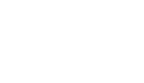 GSi Logo